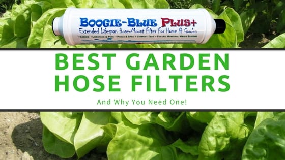 garden water filter and lettuce