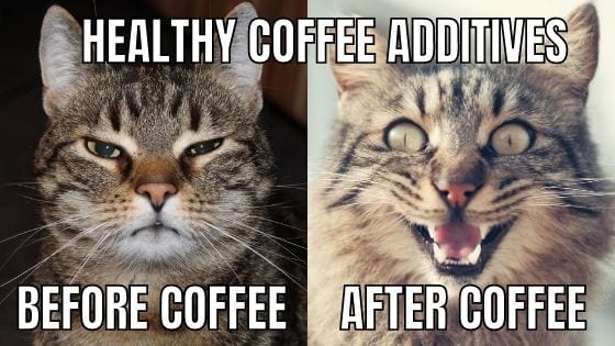 cat calm cat excited effect of coffee