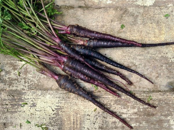 black nebula carrots