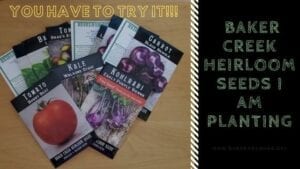 Baker Creek Heirloom Seeds I Am Planting - Hone Body Mind